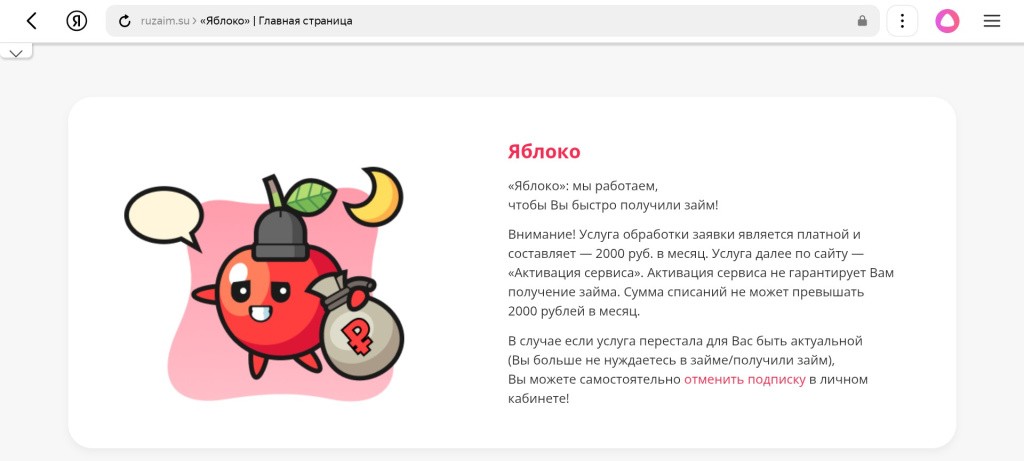 Услуга Ru Займ является платной