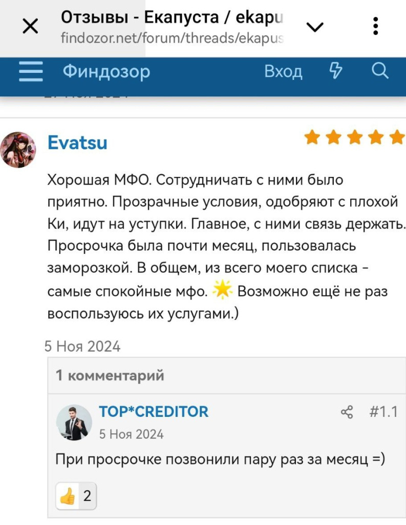 Отзывы ФинДозор