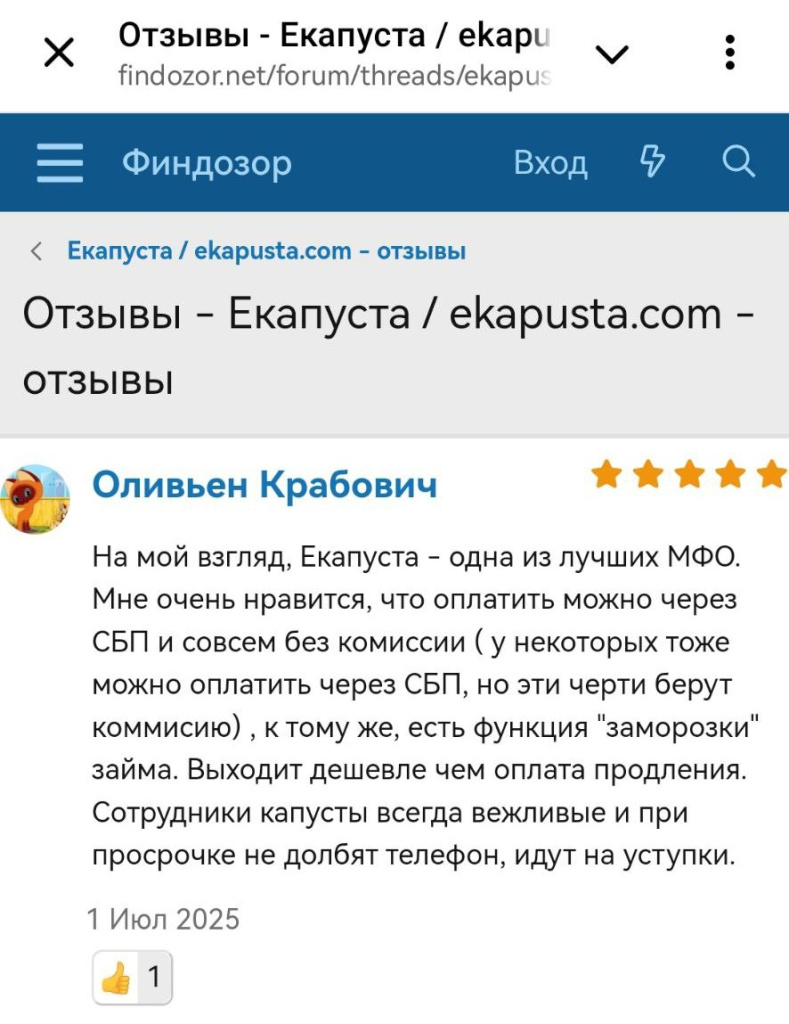 Отзывы ФинДозор