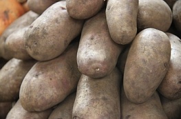 Розы красные, небо синее, продукты дорожают