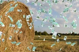 Новый игрок на рынке МФО – предложение законодателей Самарской области