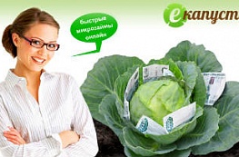 Работать с МФО «Екапуста» стало удобнее