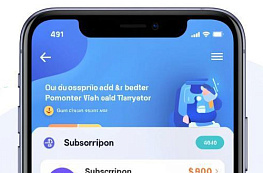 Мои Займы: МКК или сервис-посредник с платной подпиской?