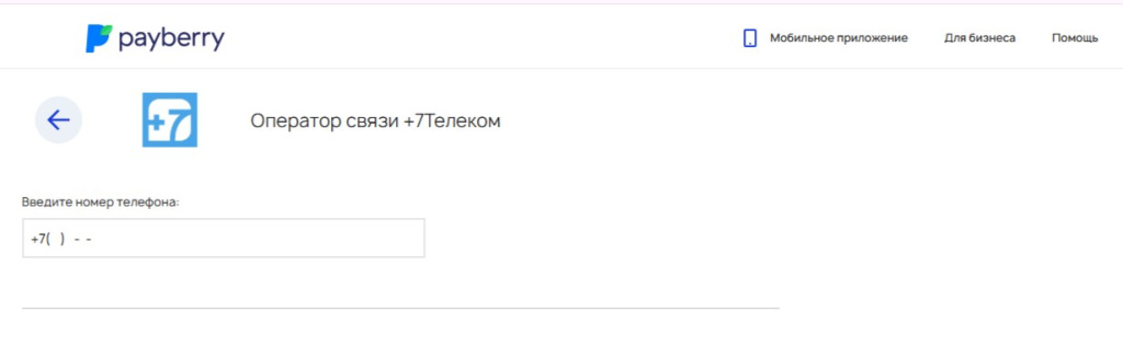 Страница оплаты сервиса PayBerry
