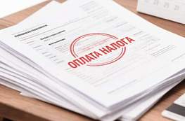 Просрочка уплаты налога у ИП: пени, штрафы и погашение долга 