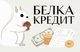 Просрочка займа в «Белка Кредит»: что будет и как решить проблему с долгом