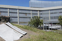 Правовые последствия при банкротстве ООО: что нужно знать учредителю и директору