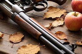 Оружие при банкротстве физического лица: антистресс-гайд для тех, кто проходит процедуру