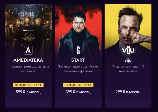 Дополнительные подписки.png